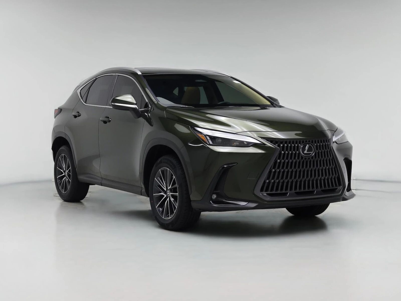 2024 LEXUS NX