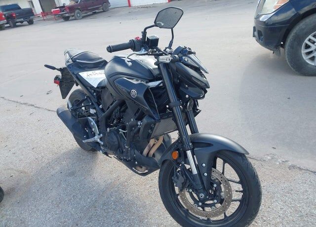 2024 YAMAHA MTN320
