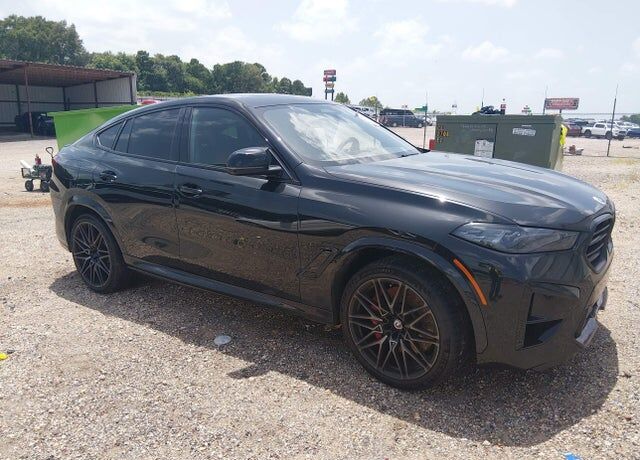 2024 BMW X6