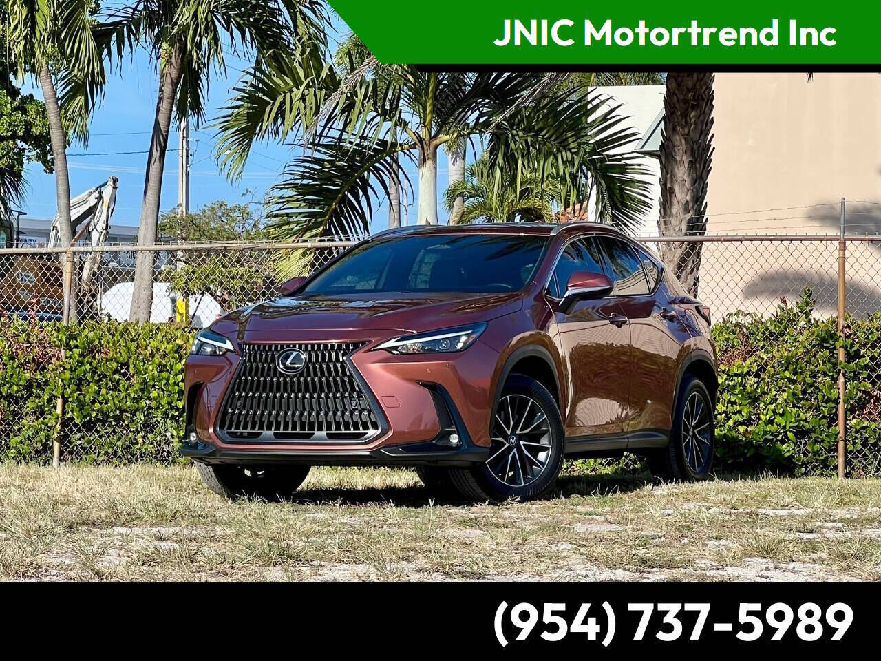 2025 LEXUS NX