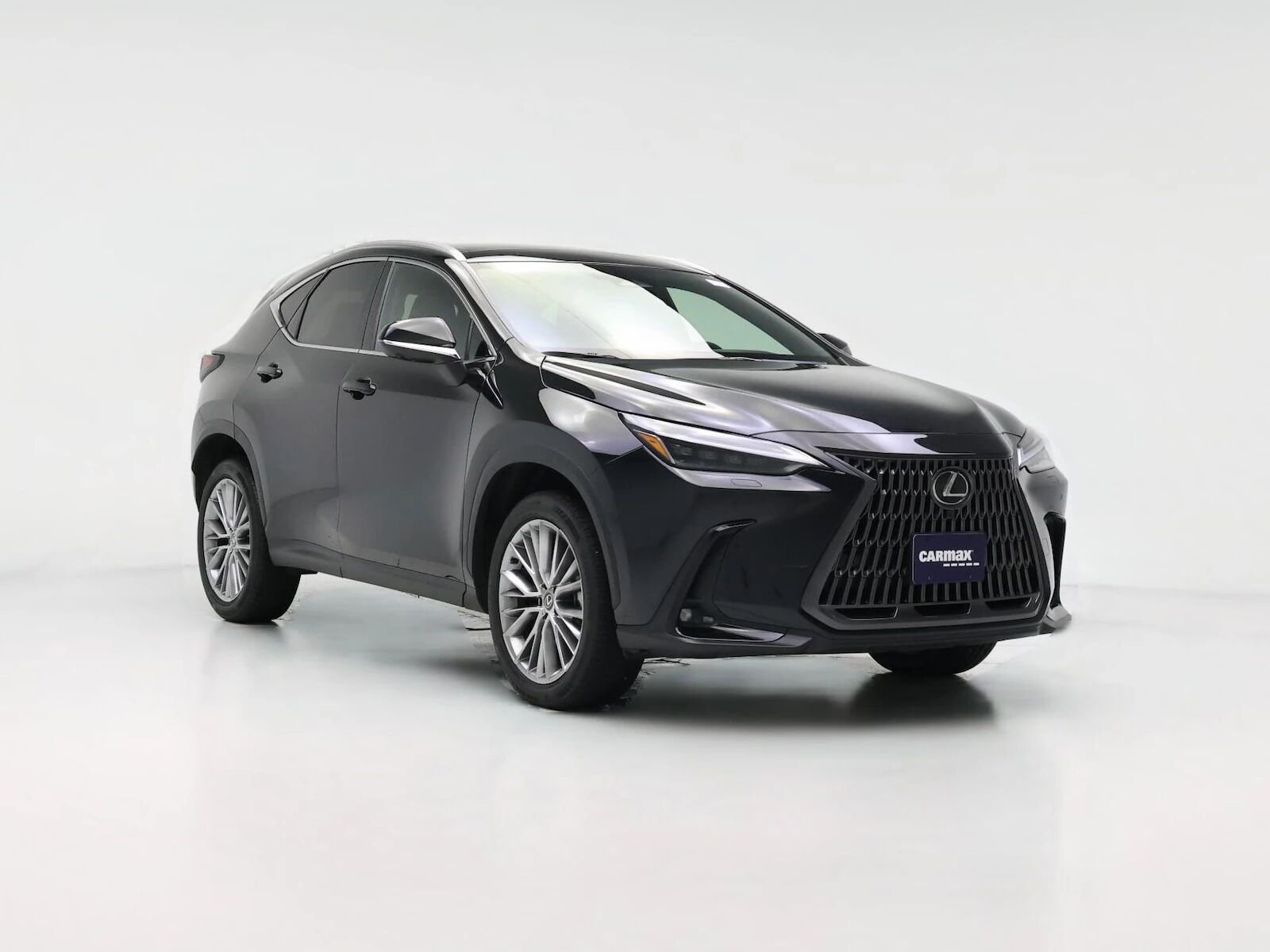 2024 LEXUS NX