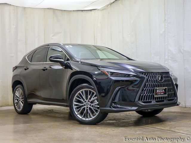 2023 LEXUS NX