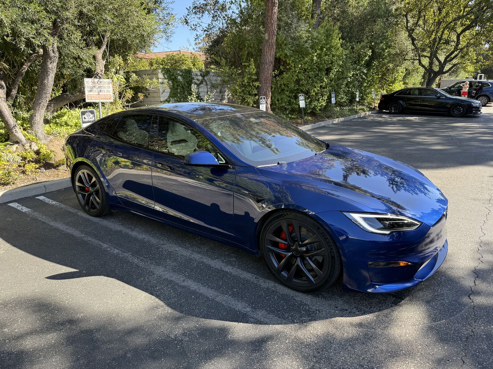 2025 TESLA Model S