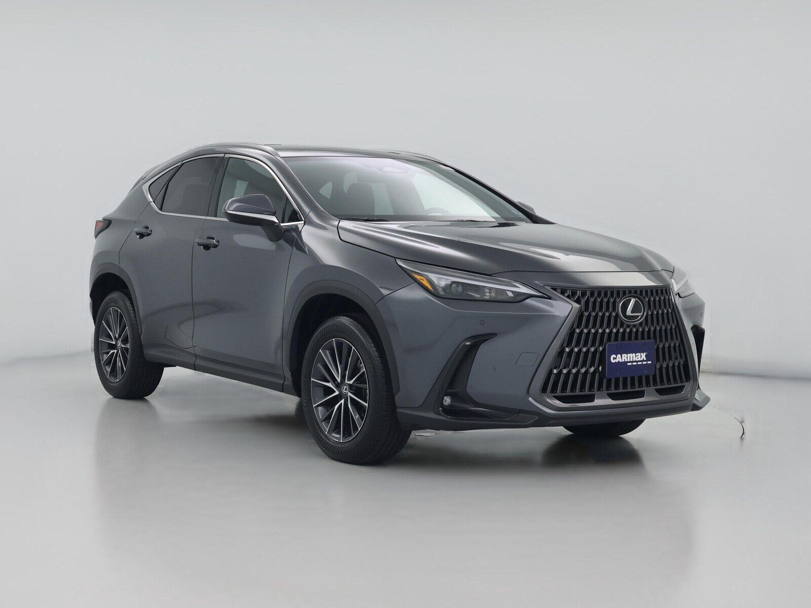 2024 LEXUS NX