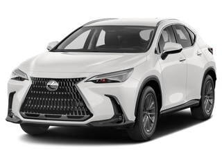 2024 LEXUS NX