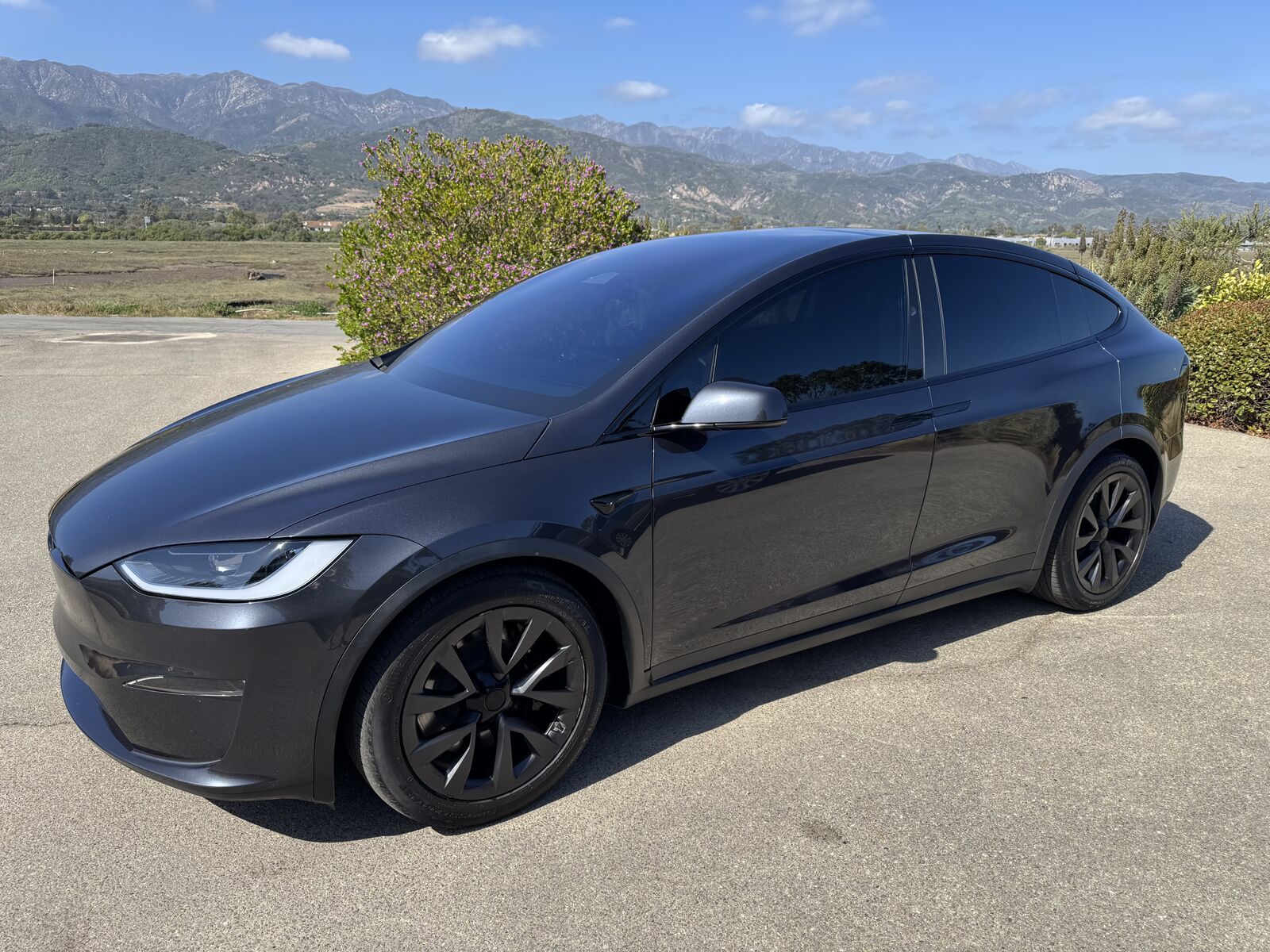 2024 TESLA Model X