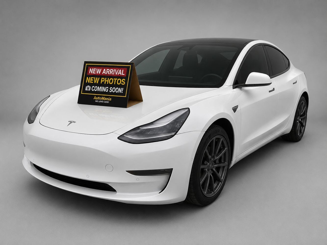 2019 TESLA Model 3