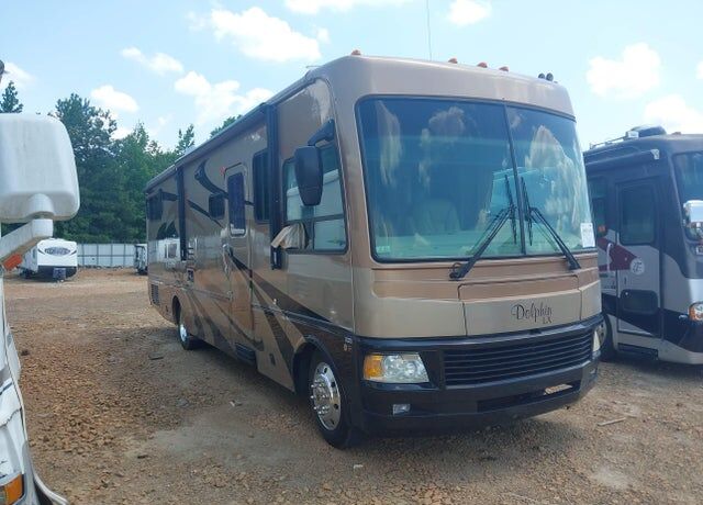 2006 WORKHORSE W22