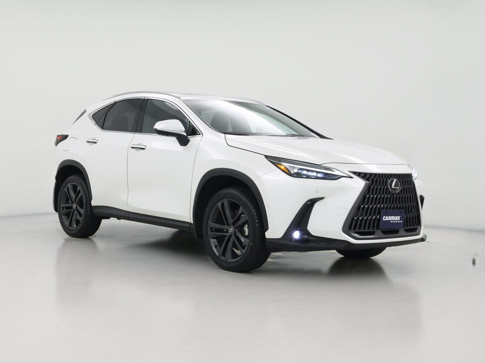 2025 LEXUS NX