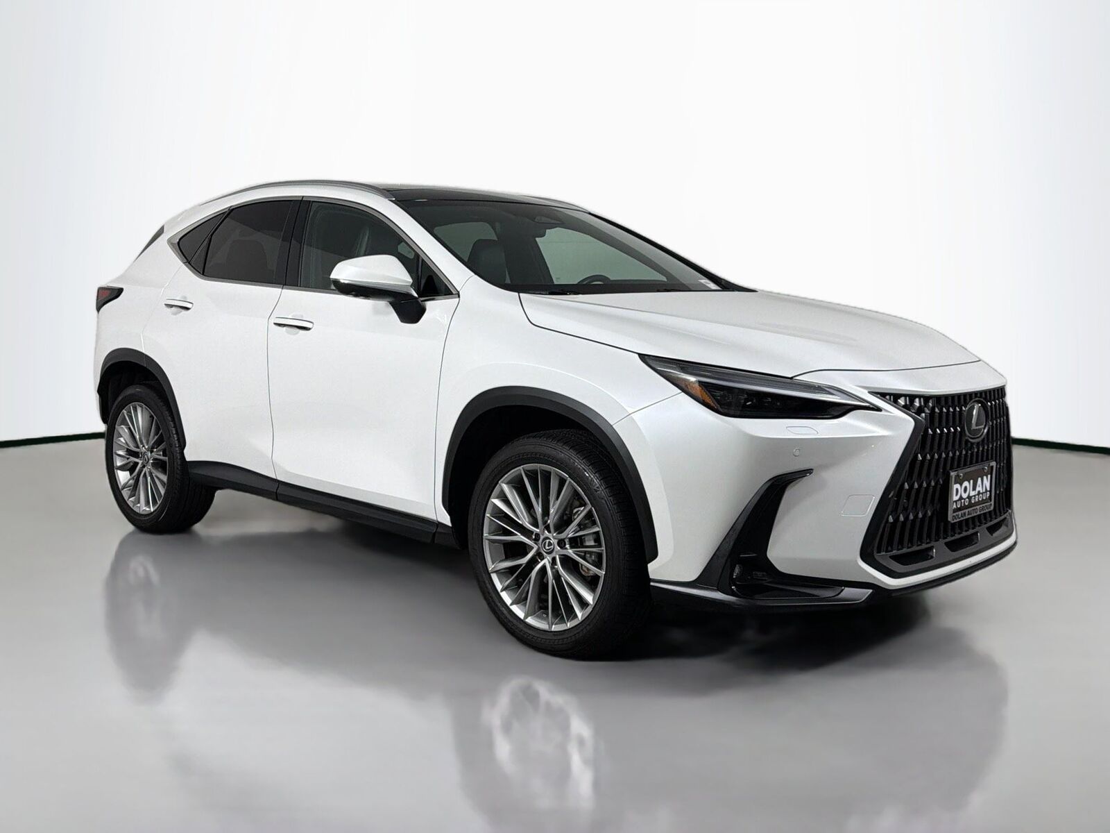 2024 LEXUS NX