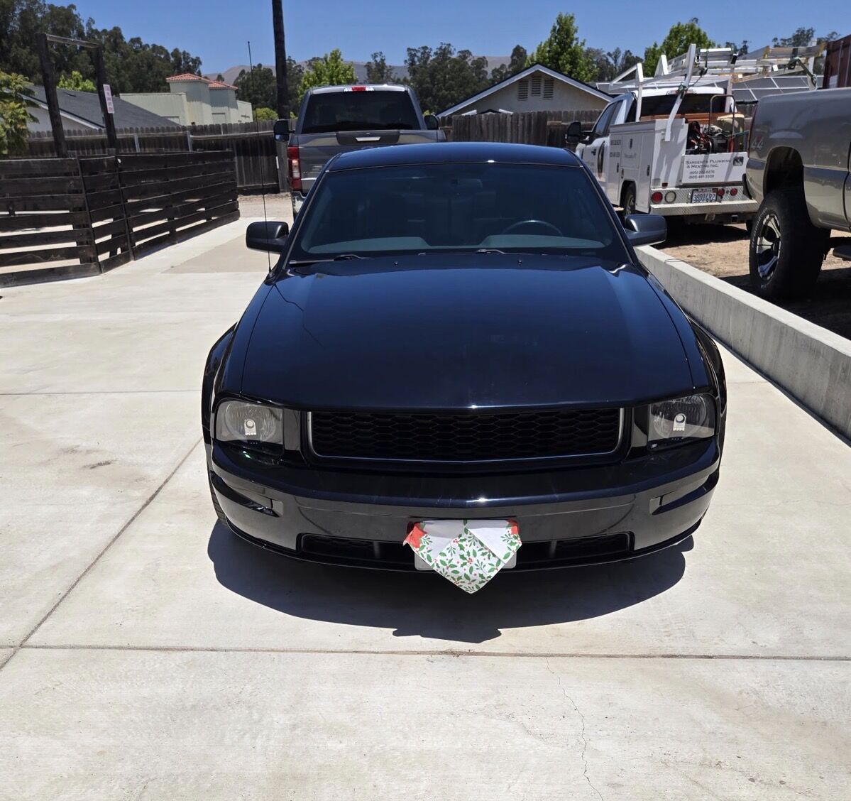 2008 FORD Mustang