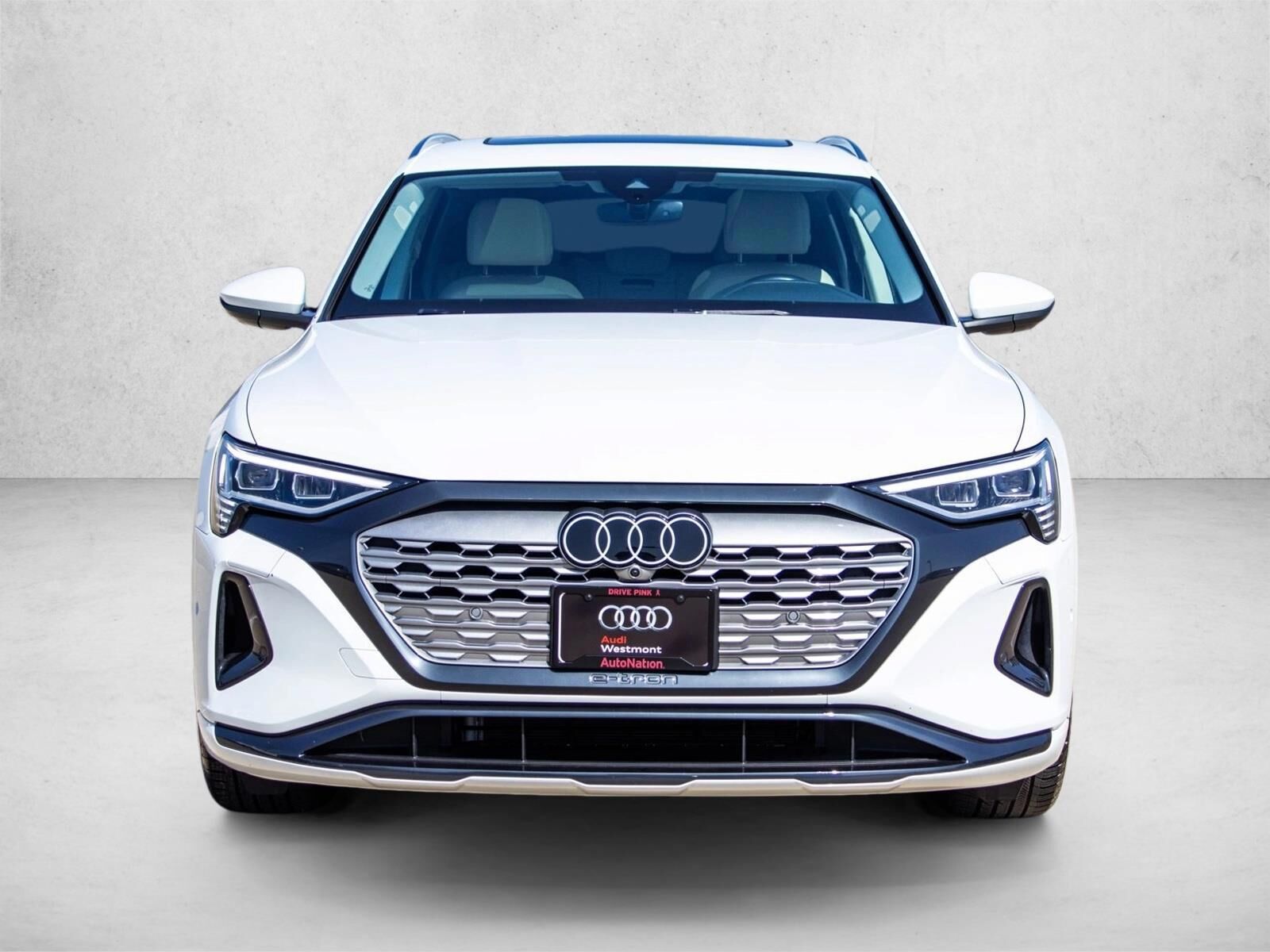 2024 Audi Q8