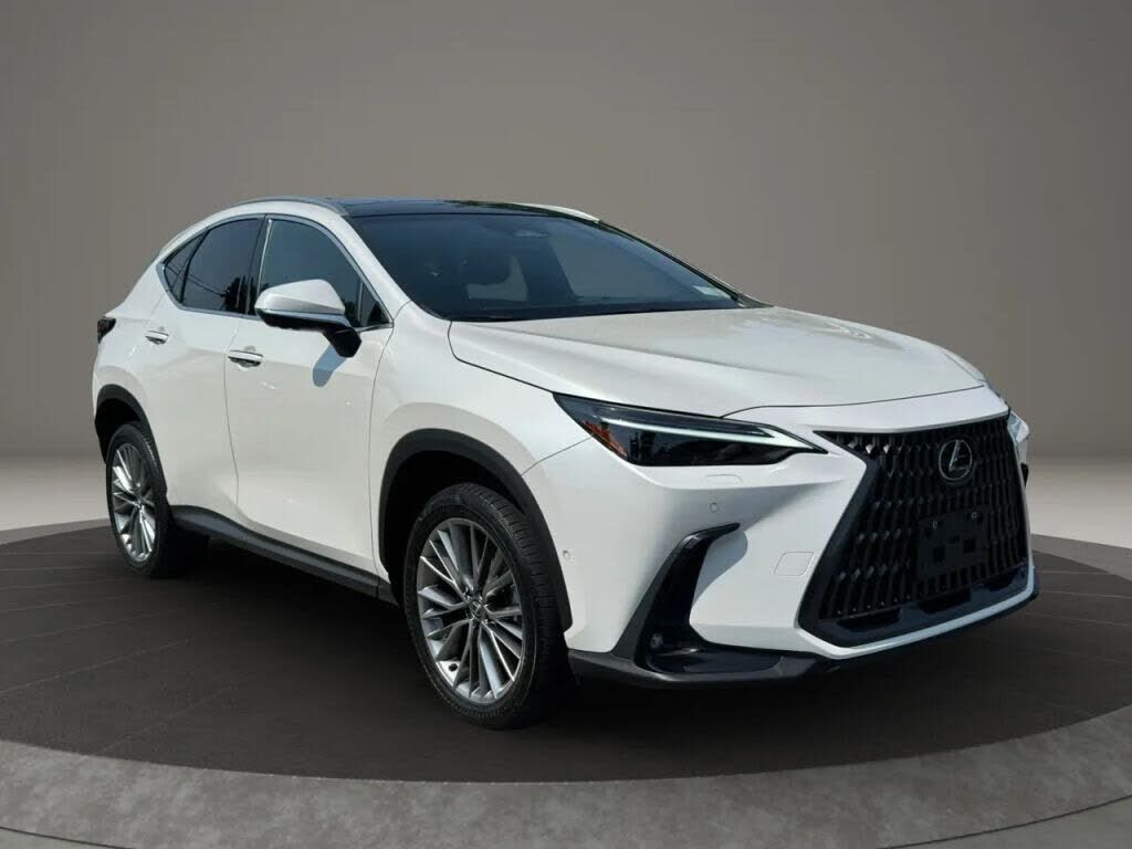 2024 LEXUS NX