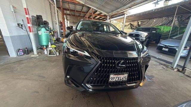 2025 LEXUS NX