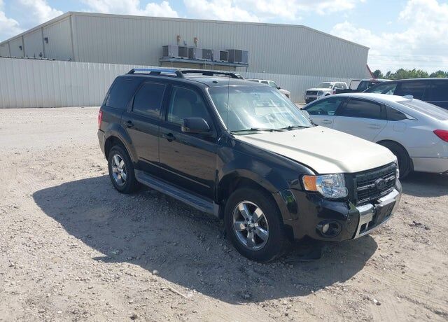 2010 FORD Escape