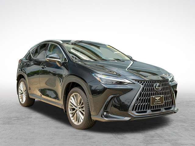2026 LEXUS NX