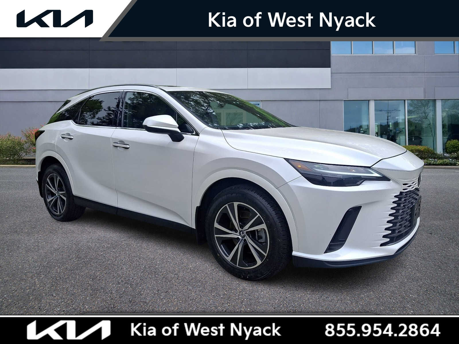 2024 LEXUS RX