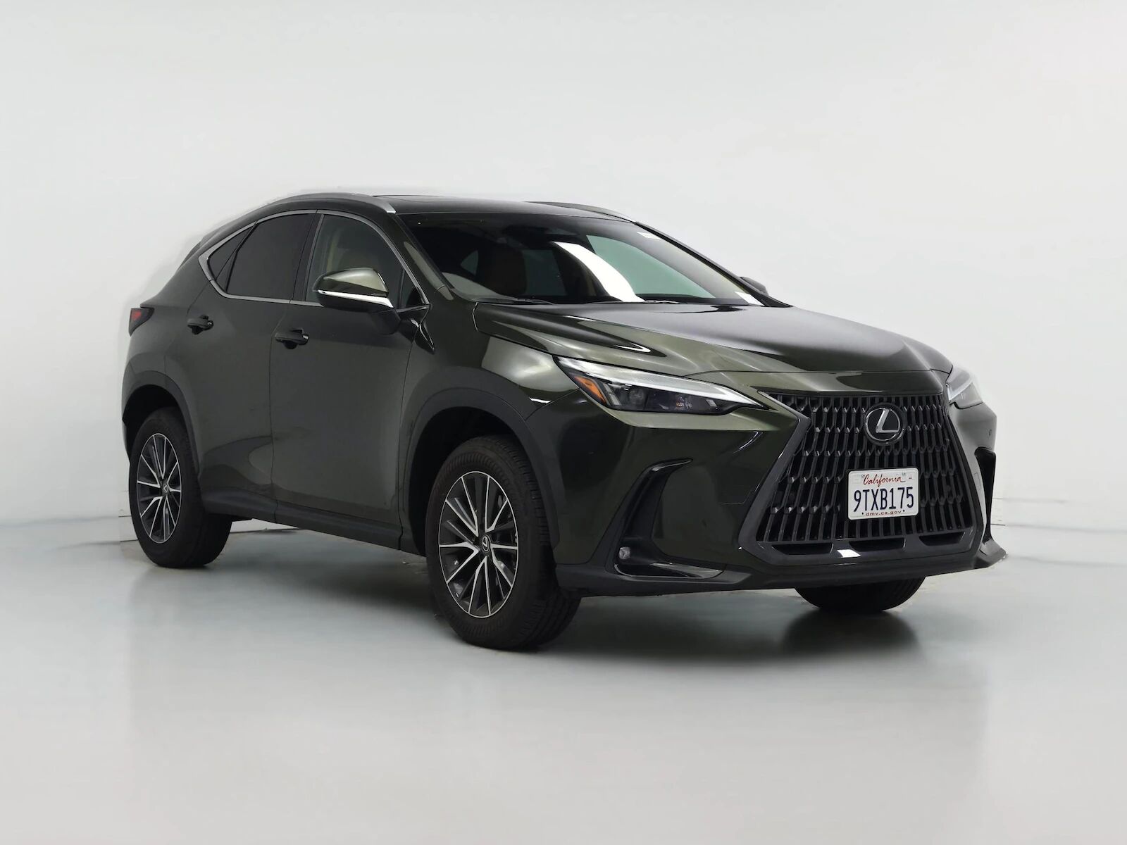 2025 LEXUS NX