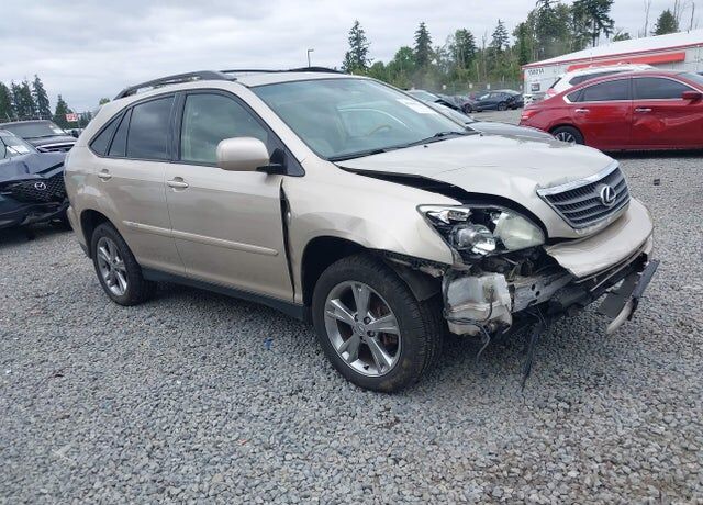 2007 LEXUS RX