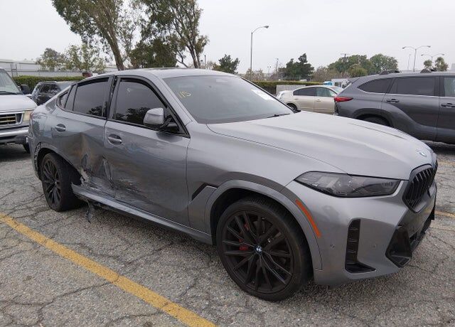 2024 BMW X6