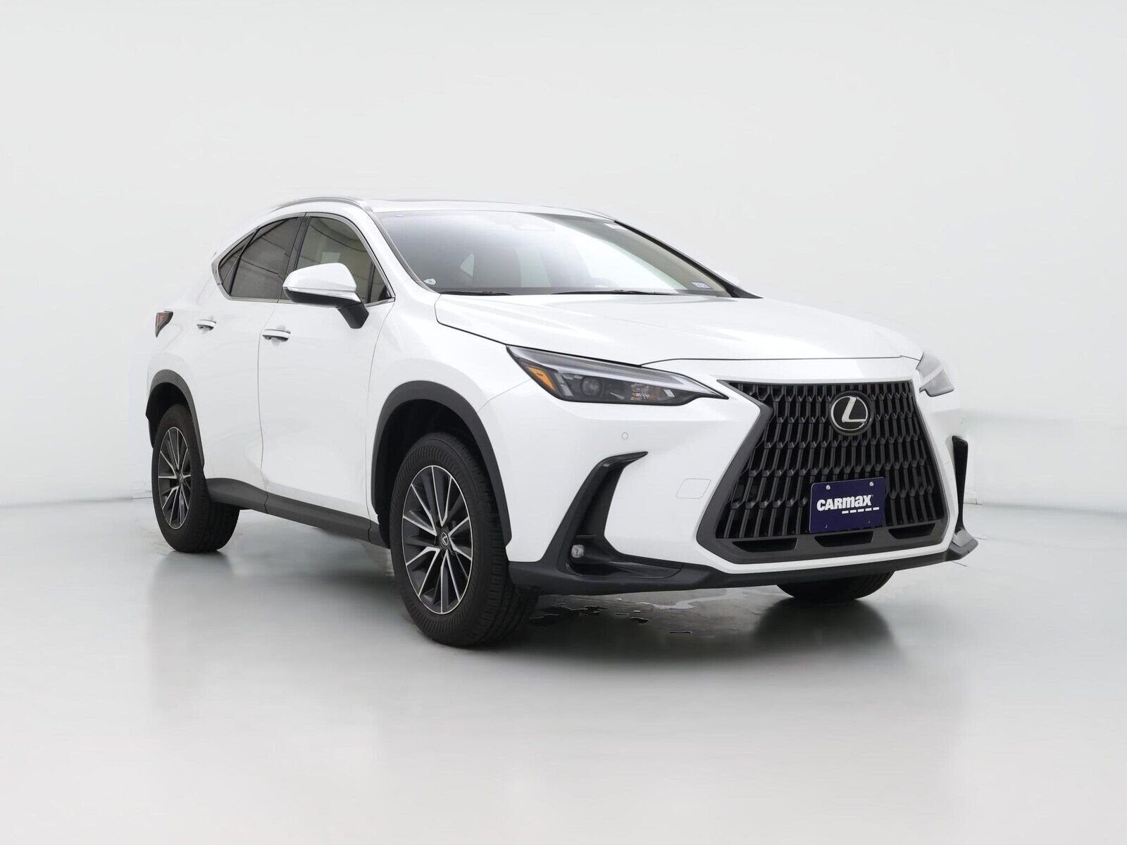 2025 LEXUS NX