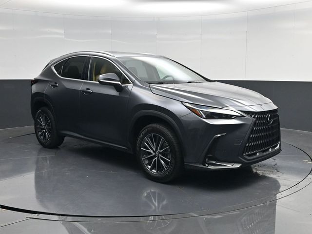 2024 LEXUS NX
