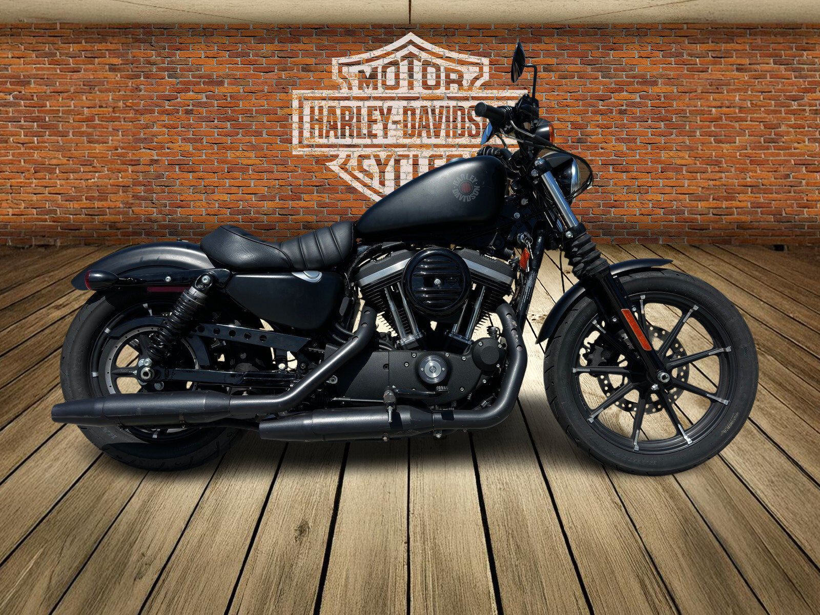 2022 HARLEY DAVIDSON Iron 883