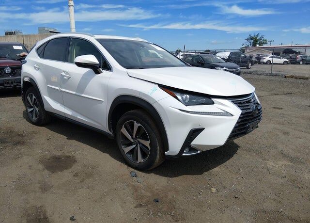 2019 LEXUS NX
