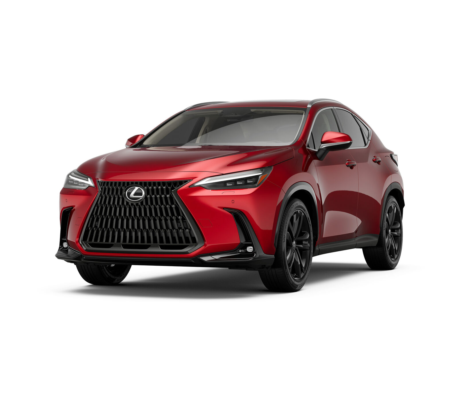 2026 LEXUS NX