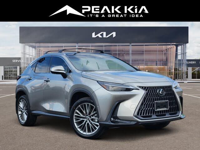 2024 LEXUS NX