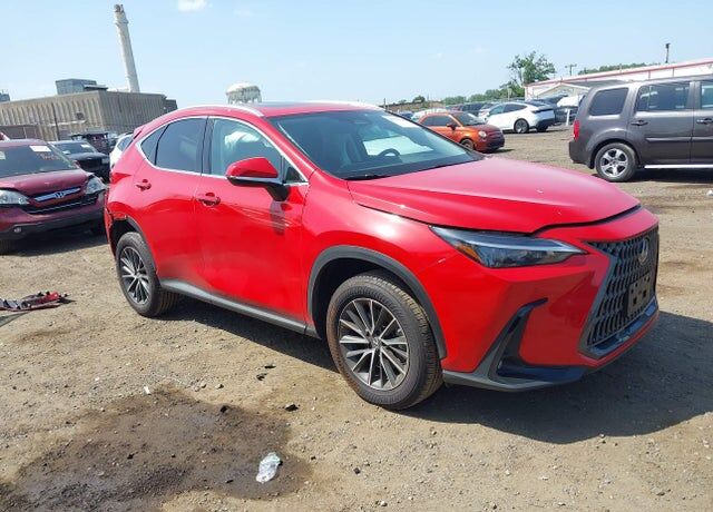 2025 LEXUS NX