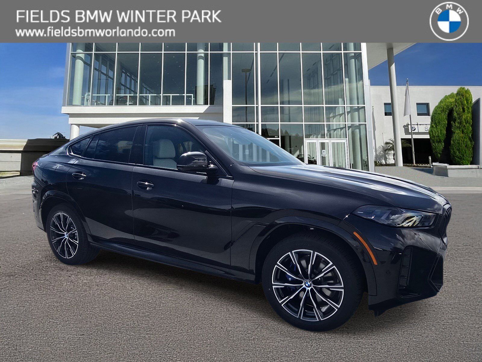 2026 BMW X6