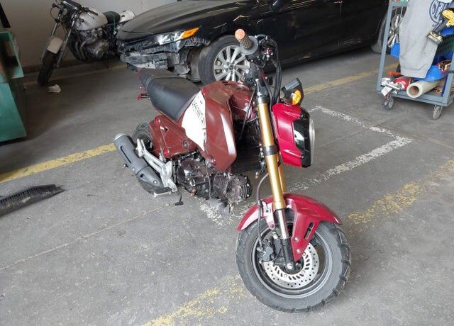 2024 HONDA MSX125