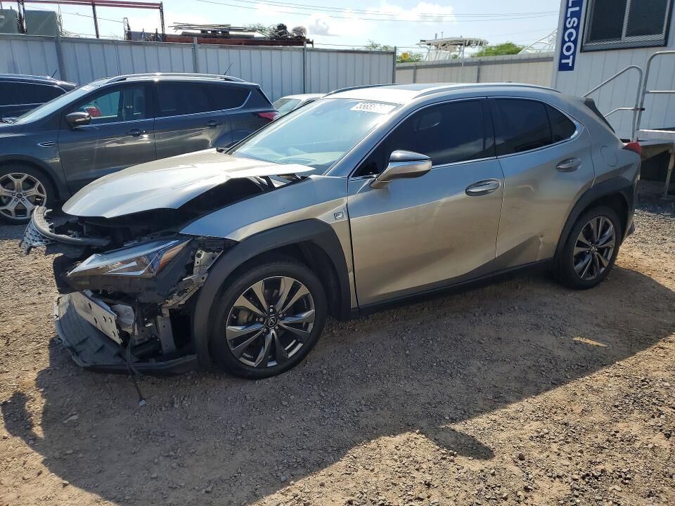 2019 LEXUS UX