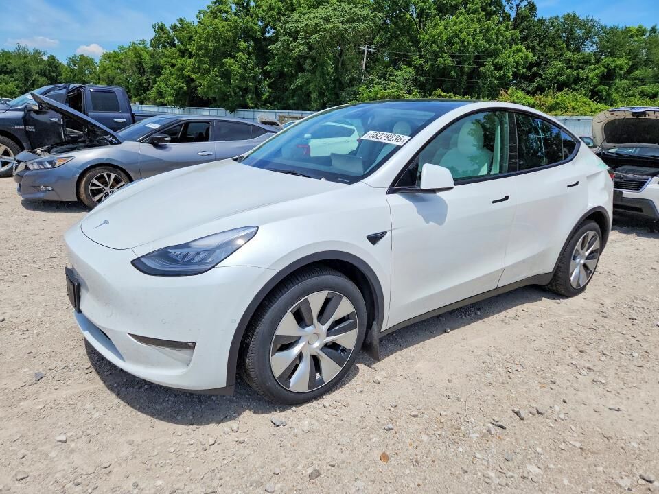 2021 TESLA Model Y
