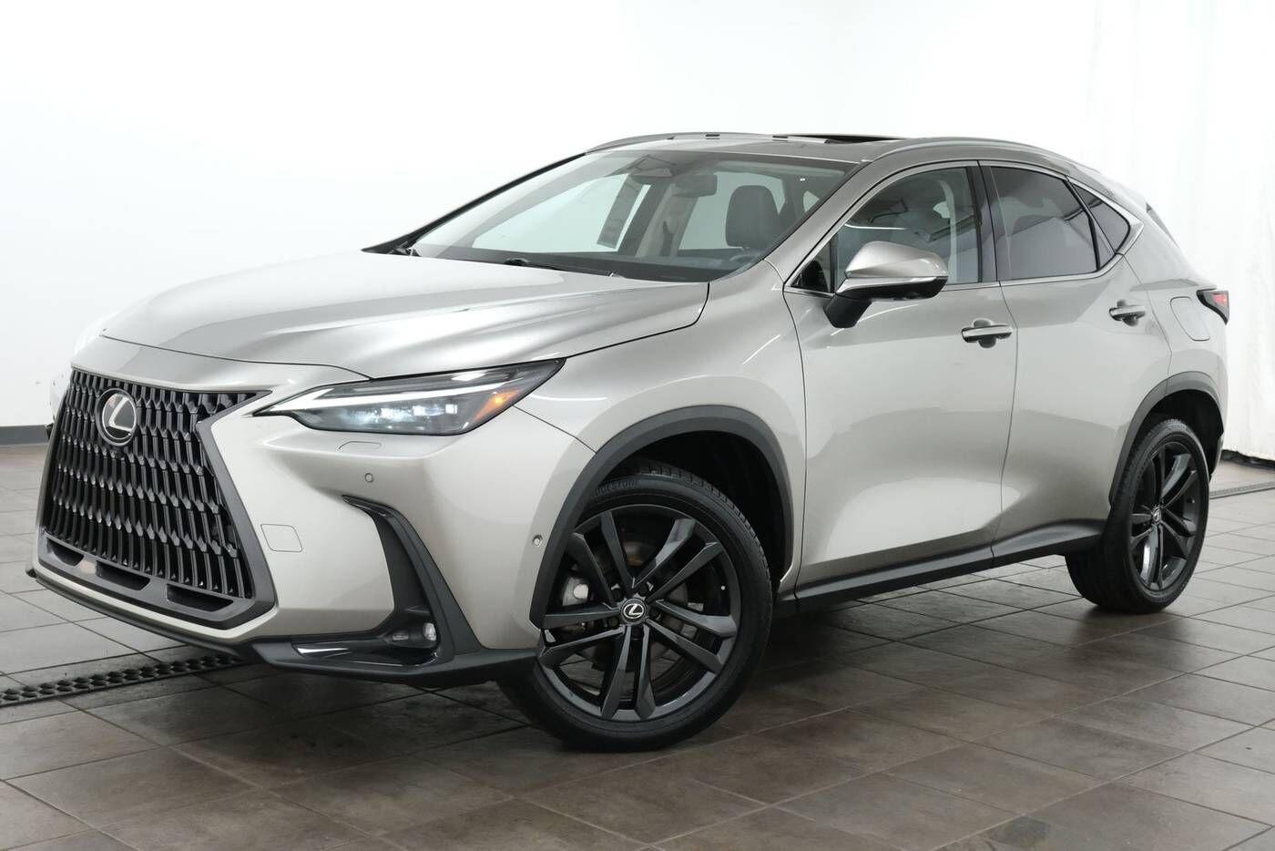 2024 LEXUS NX
