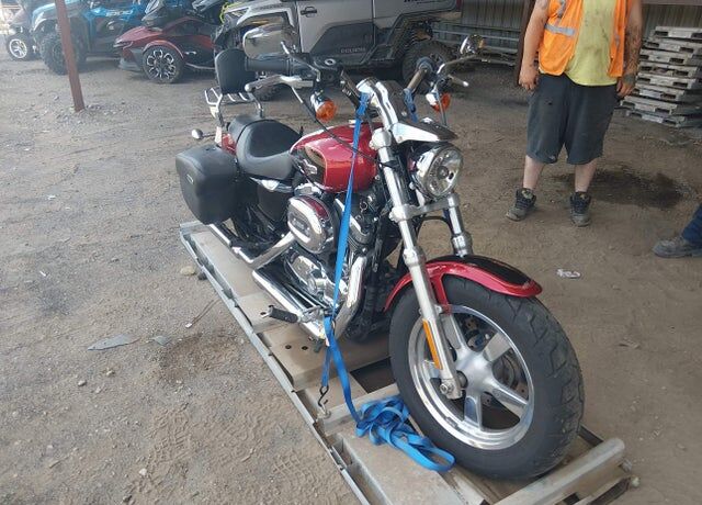 2012 HARLEY DAVIDSON Sportster 1200 Custom