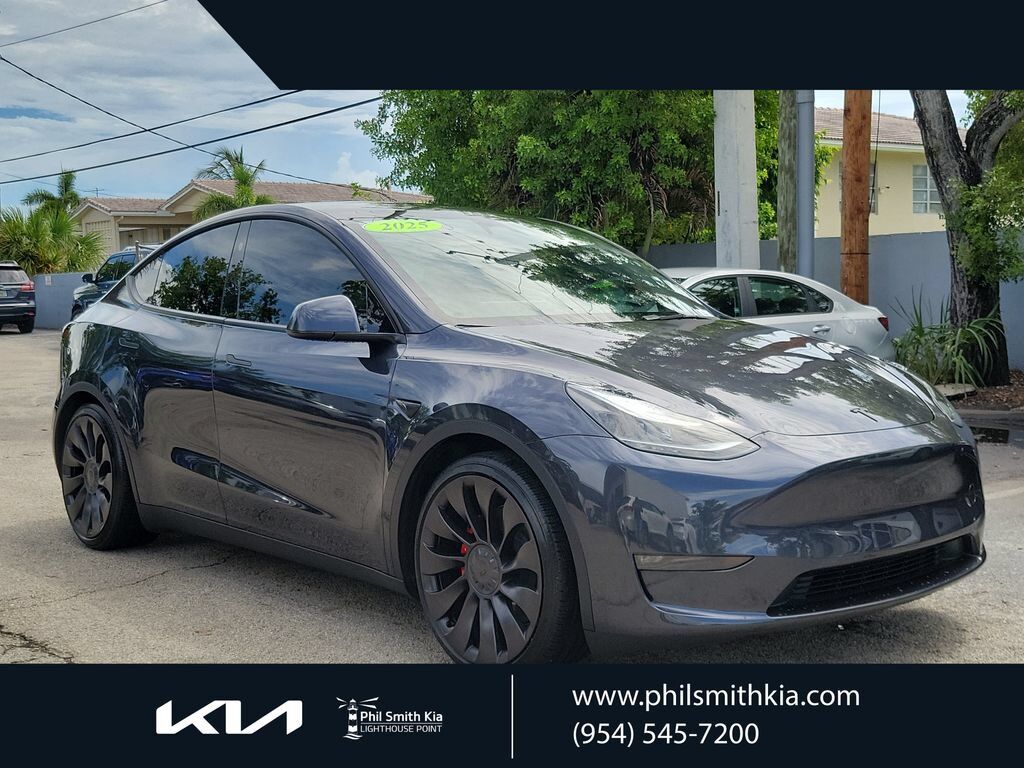 2025 TESLA Model Y