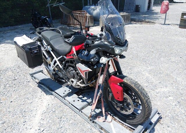 2024 TRIUMPH Tiger