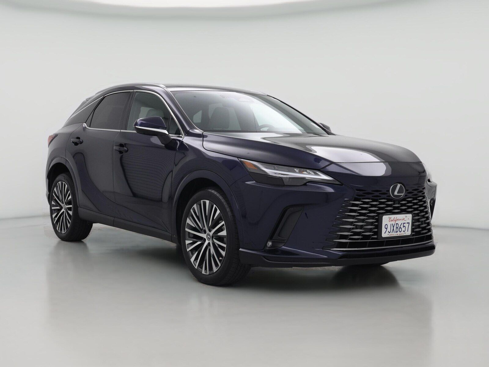 2024 LEXUS RX