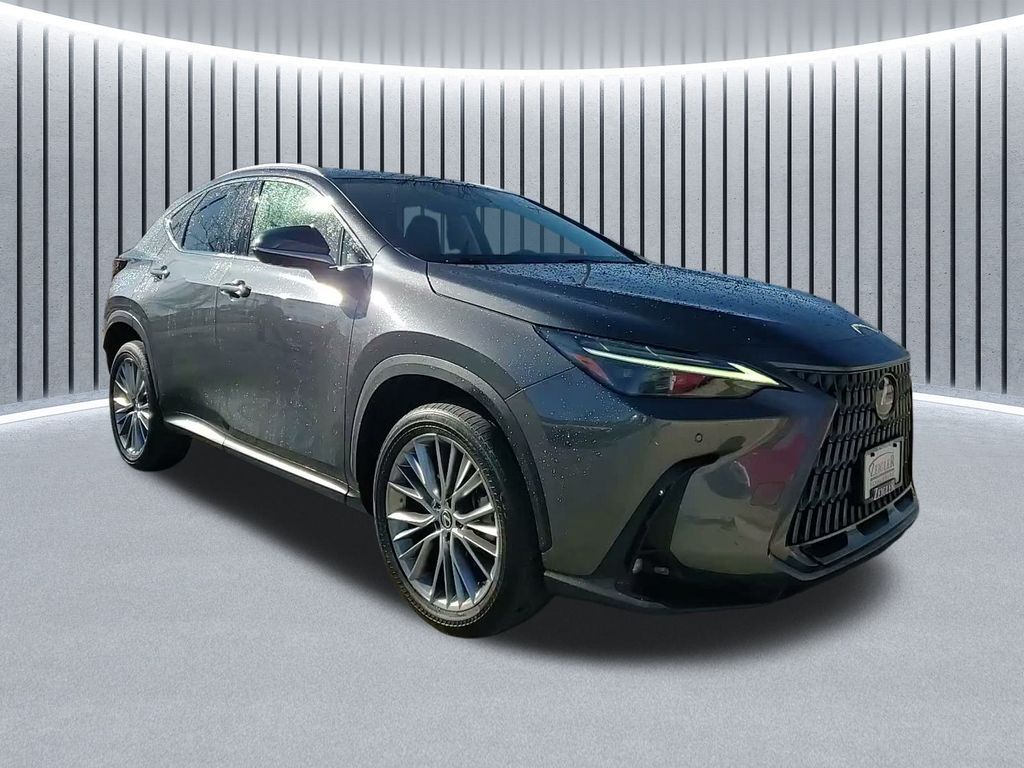 2024 LEXUS NX