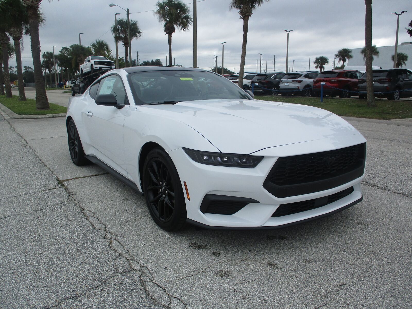 2025 FORD Mustang