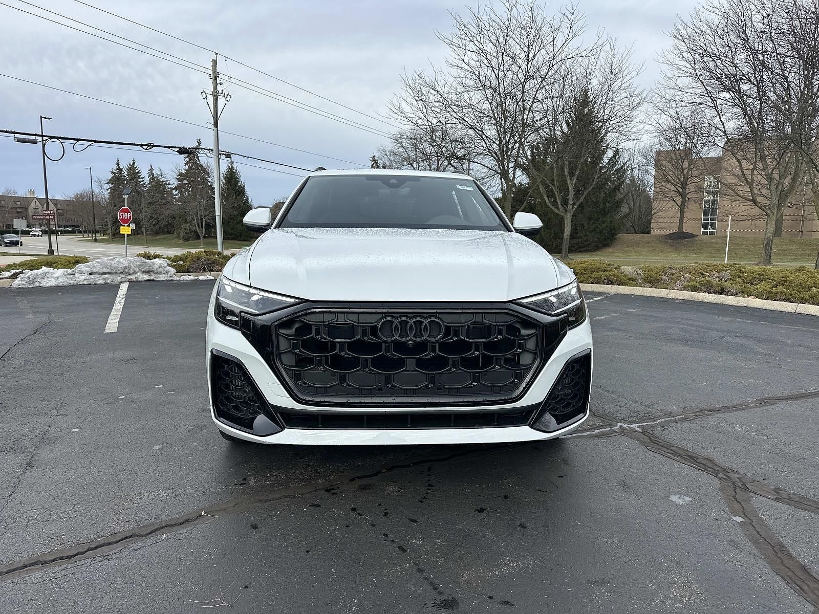 2026 Audi Q8