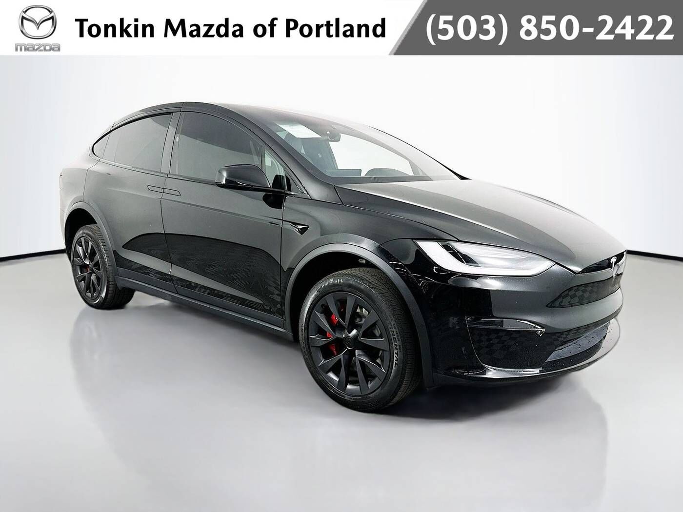 2023 TESLA Model X