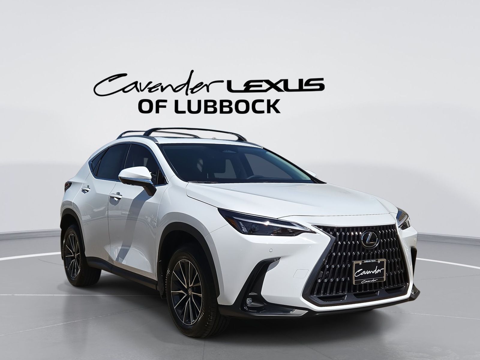 2026 LEXUS NX