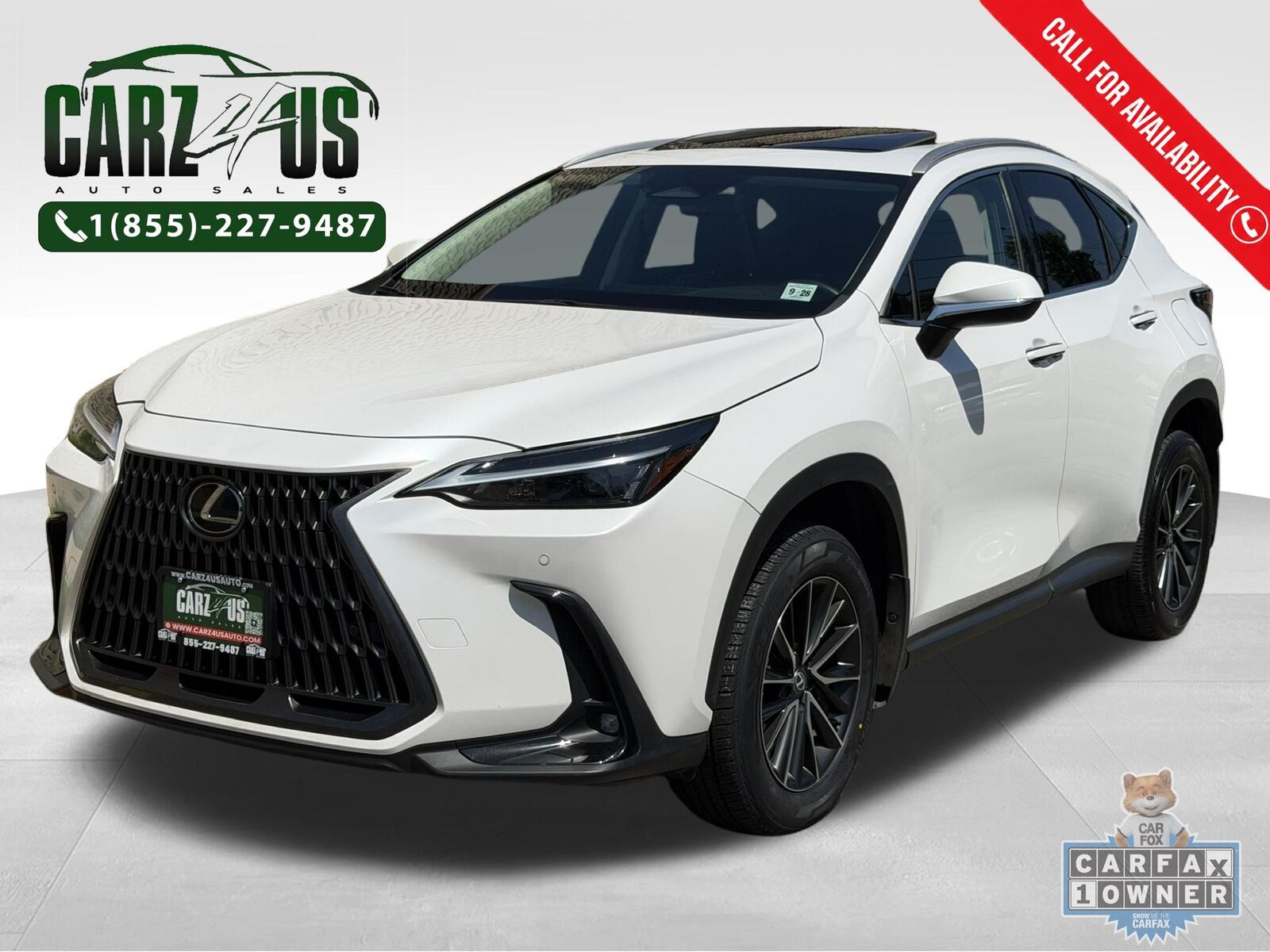 2024 LEXUS NX