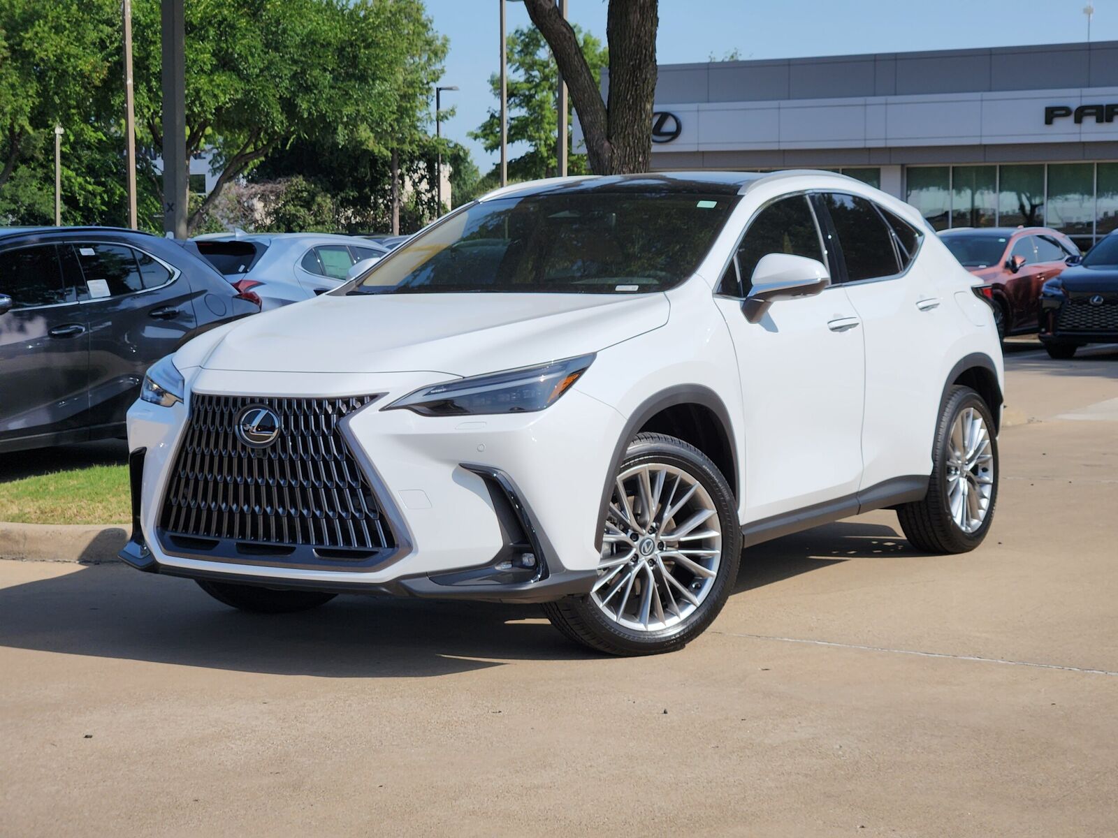 2026 LEXUS NX