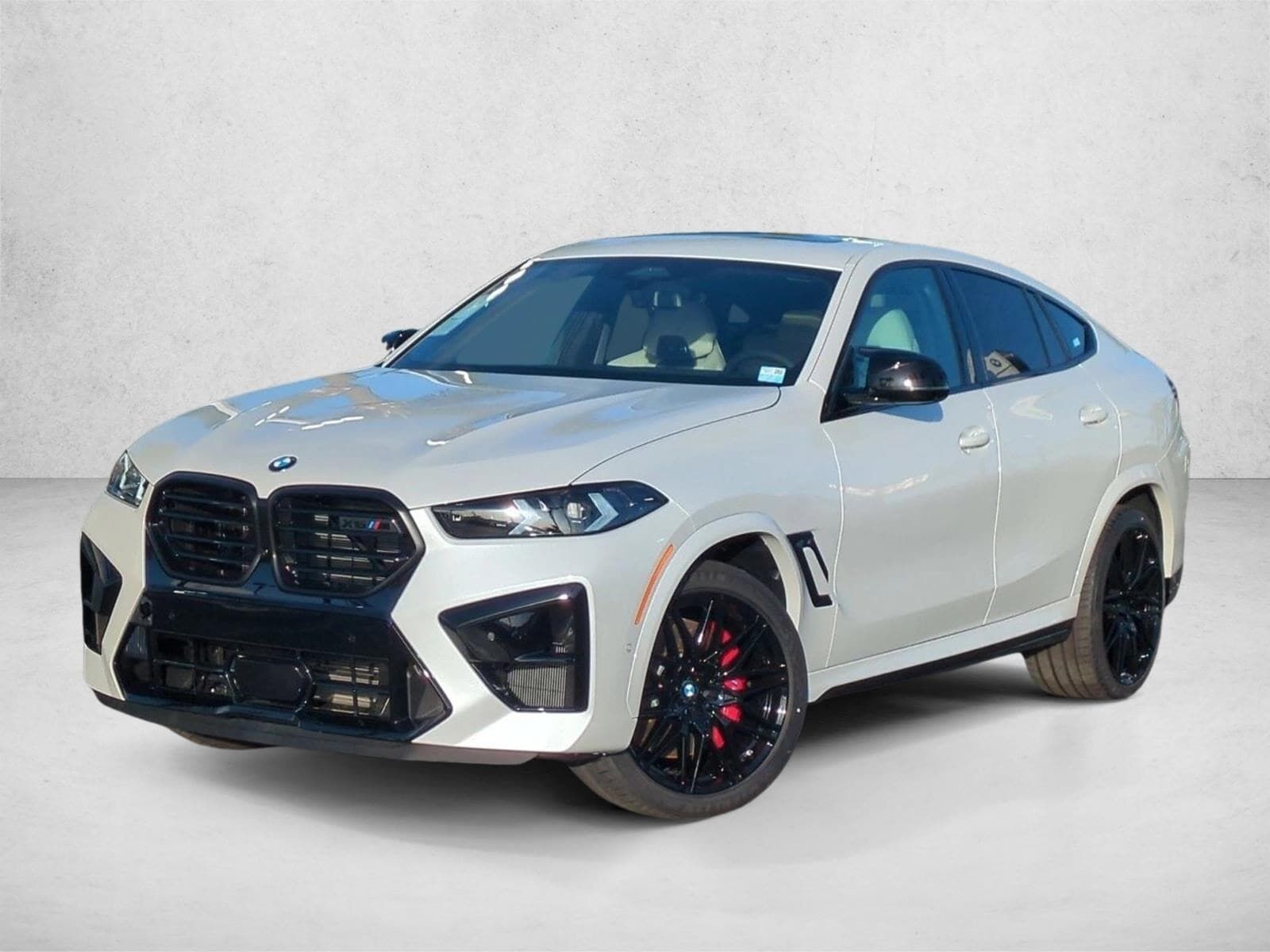 2026 BMW X6