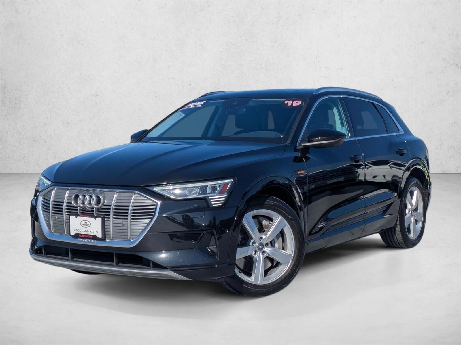 2019 AUDI e-tron