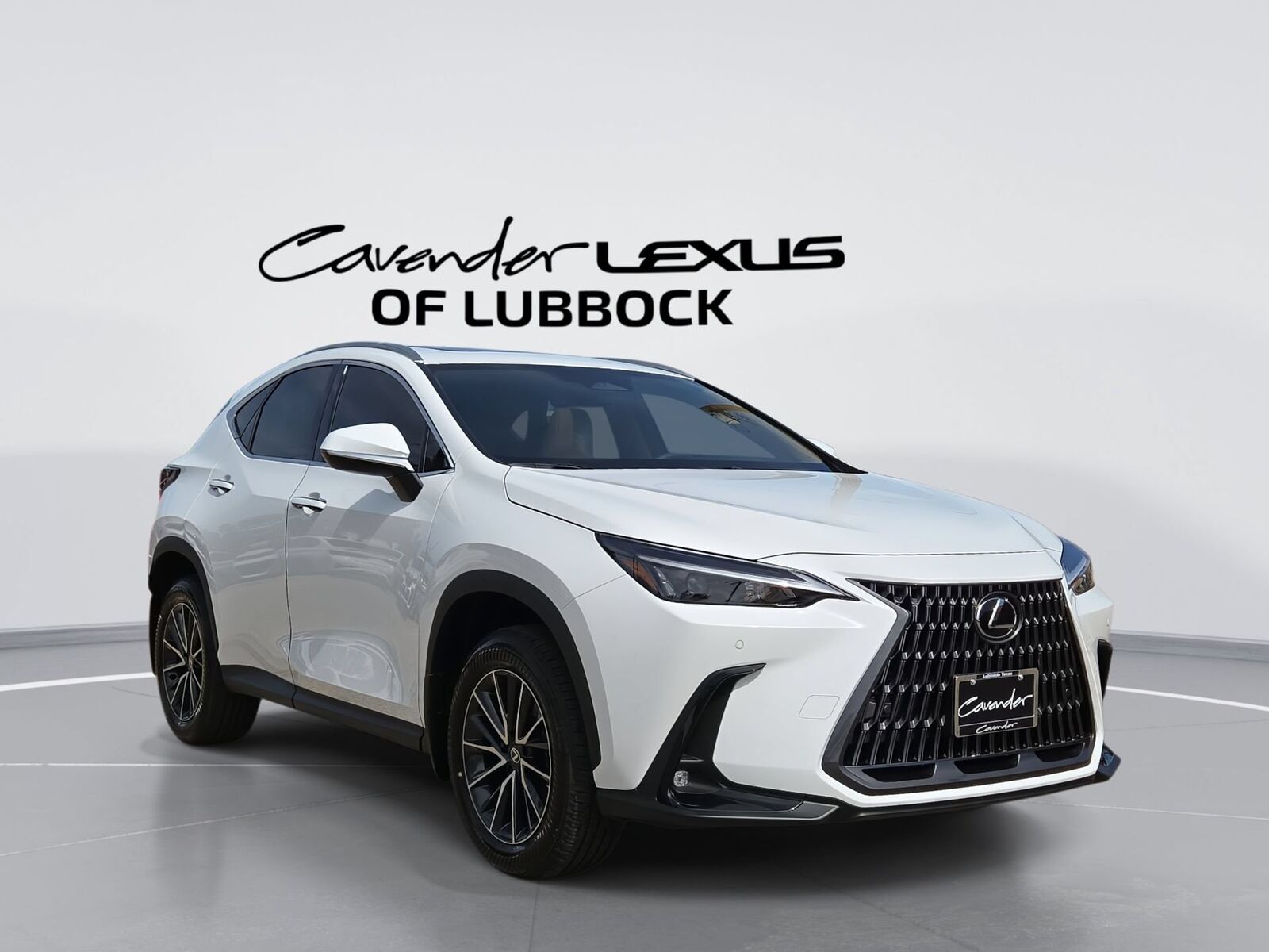 2026 LEXUS NX